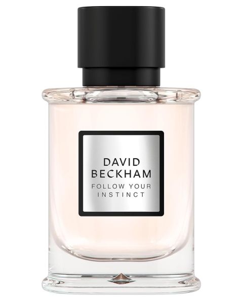 David Beckham Follow Your Instinct EDP